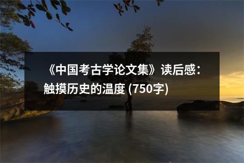 《中國考古學論文集》讀后感：觸摸歷史的溫度 (750字)