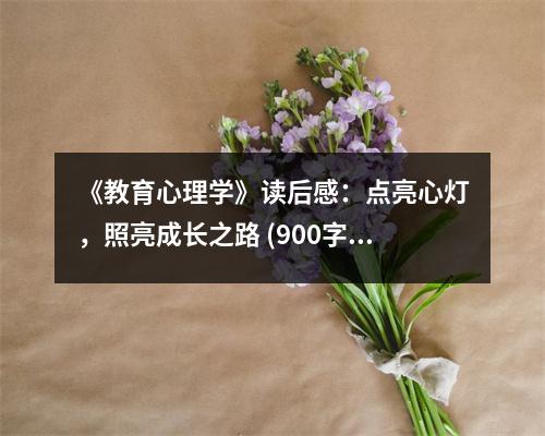 《教育心理學(xué)》讀后感：點(diǎn)亮心燈，照亮成長之路 (900字)