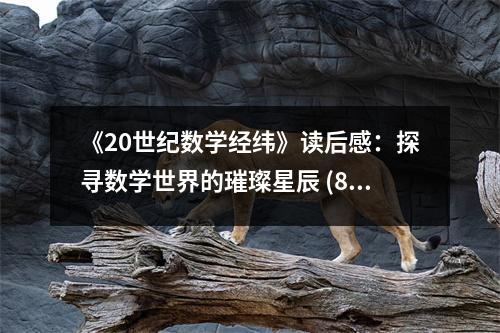 《20世紀(jì)數(shù)學(xué)經(jīng)緯》讀后感：探尋數(shù)學(xué)世界的璀璨星辰 (800字)