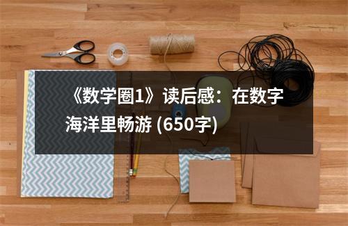 《數(shù)學(xué)圈1》讀后感：在數(shù)字海洋里暢游 (650字)