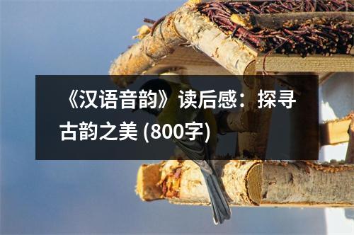 《漢語(yǔ)音韻》讀后感：探尋古韻之美 (800字)