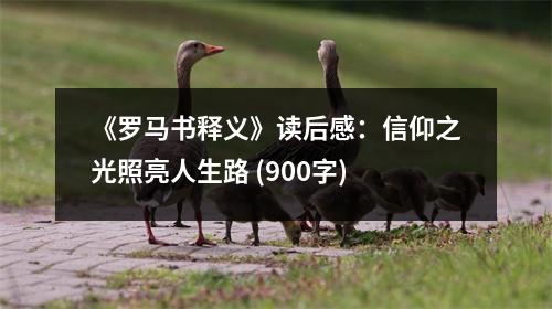 《羅馬書釋義》讀后感：信仰之光照亮人生路 (900字)