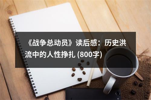 《戰(zhàn)爭總動員》讀后感：歷史洪流中的人性掙扎 (800字)
