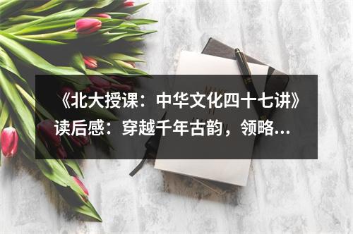 《北大授課：中華文化四十七講》讀后感：穿越千年古韻，領(lǐng)略智慧之光 (850字)