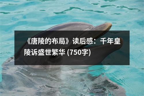 《唐陵的布局》讀后感：千年皇陵訴盛世繁華 (750字)
