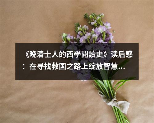 《晚清士人的西學(xué)閱讀史》讀后感：在尋找救國之路上綻放智慧火花 (950字)
