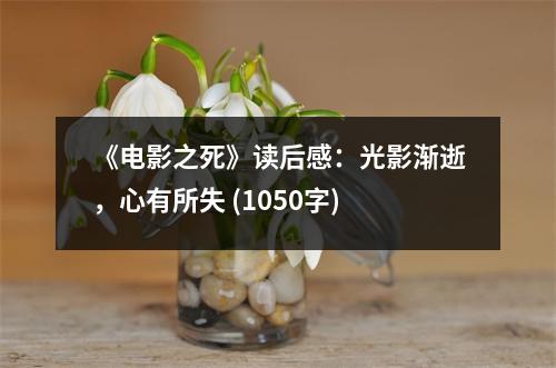 《電影之死》讀后感：光影漸逝，心有所失 (1050字)