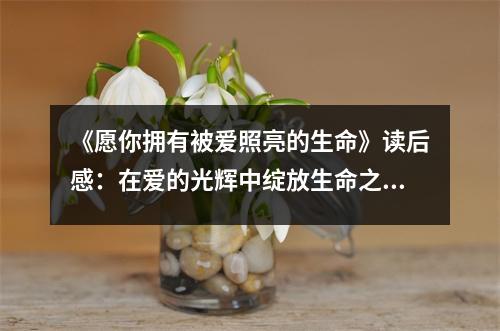 《愿你擁有被愛照亮的生命》讀后感：在愛的光輝中綻放生命之花 (850字)