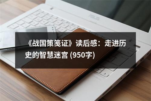 《戰(zhàn)國策箋證》讀后感：走進歷史的智慧迷宮 (950字)