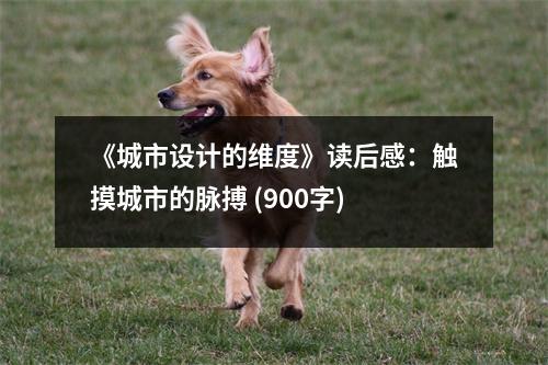 《城市設計的維度》讀后感：觸摸城市的脈搏 (900字)