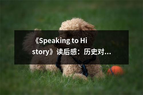 《Speaking to History》讀后感：歷史對話中的心靈觸動 (700字)