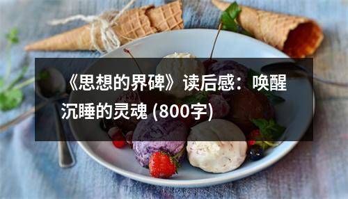 《思想的界碑》讀后感：?jiǎn)拘殉了撵`魂 (800字)