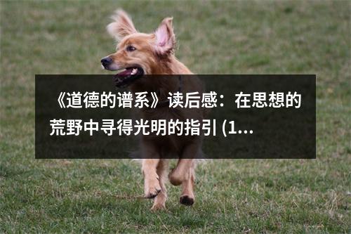 《道德的譜系》讀后感：在思想的荒野中尋得光明的指引 (1100字)