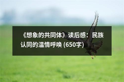 《想象的共同體》讀后感：民族認(rèn)同的溫情呼喚 (650字)