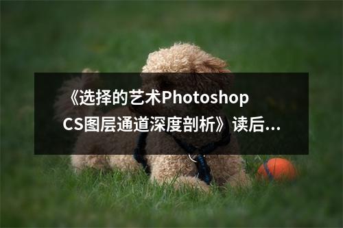 《選擇的藝術(shù)PhotoshopCS圖層通道深度剖析》讀后感：洞悉光影之變，探尋創(chuàng)意無限 (800字)