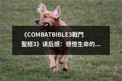 《COMBATBIBLE3戰(zhàn)門(mén)聖經(jīng)3》讀后感：感悟生命的厚重與堅(jiān)韌 (700字)