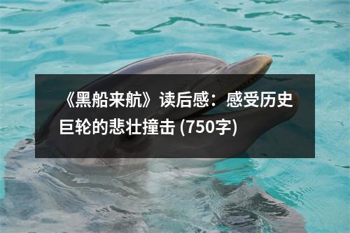 《黑船來(lái)航》讀后感：感受歷史巨輪的悲壯撞擊 (750字)