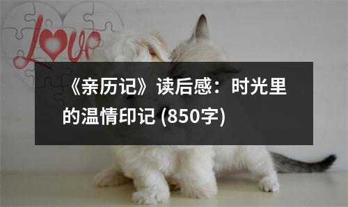 《親歷記》讀后感：時(shí)光里的溫情印記 (850字)