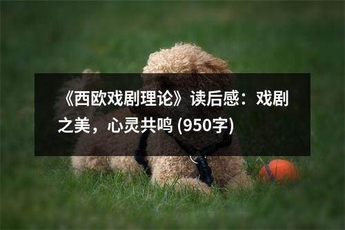 《西歐戲劇理論》讀后感：戲劇之美，心靈共鳴 (950字)