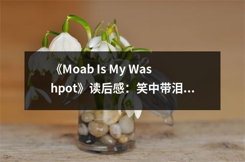 《Moab Is My Washpot》讀后感：笑中帶淚的人生感悟 (800字)