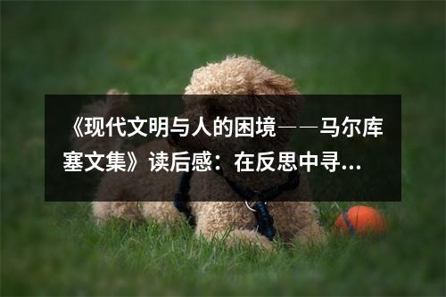 《現(xiàn)代文明與人的困境――馬爾庫塞文集》讀后感：在反思中尋找人性之光 (650字)
