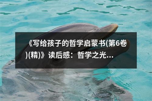 《寫給孩子的哲學(xué)啟蒙書(第6卷)(精)》讀后感：哲學(xué)之光照亮童心世界 (900字)
