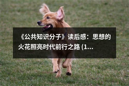 《公共知識分子》讀后感：思想的火花照亮?xí)r代前行之路 (1050字)