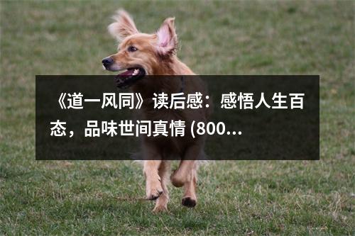 《道一風(fēng)同》讀后感：感悟人生百態(tài)，品味世間真情 (800字)