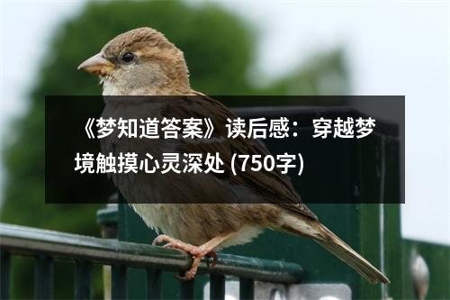 《夢(mèng)知道答案》讀后感：穿越夢(mèng)境觸摸心靈深處 (750字)