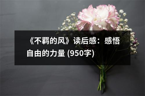 《不羈的風》讀后感：感悟自由的力量 (950字)