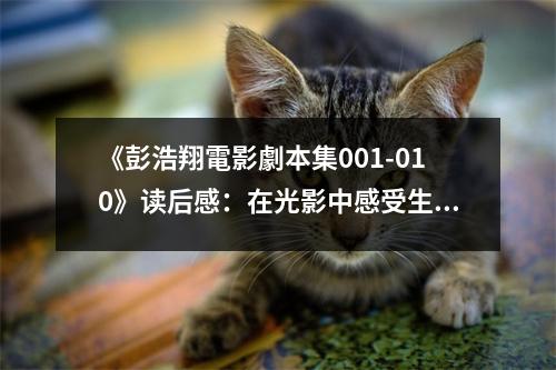 《彭浩翔電影劇本集001-010》讀后感：在光影中感受生活的百味 (750字)