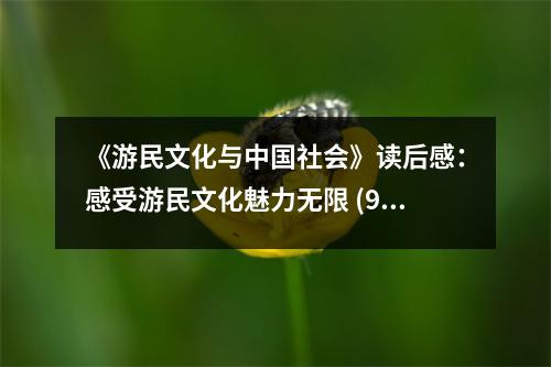 《游民文化與中國社會》讀后感：感受游民文化魅力無限 (950字)