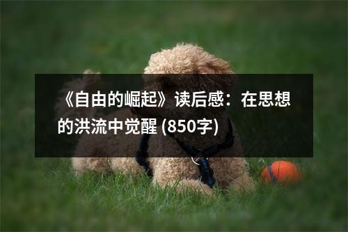 《自由的崛起》讀后感：在思想的洪流中覺醒 (850字)