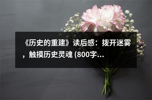 《歷史的重建》讀后感：撥開迷霧，觸摸歷史靈魂 (800字)