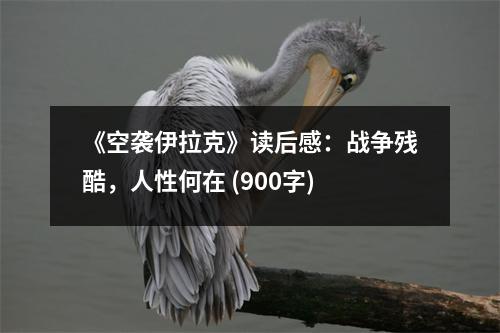 《空襲伊拉克》讀后感：戰(zhàn)爭(zhēng)殘酷，人性何在 (900字)