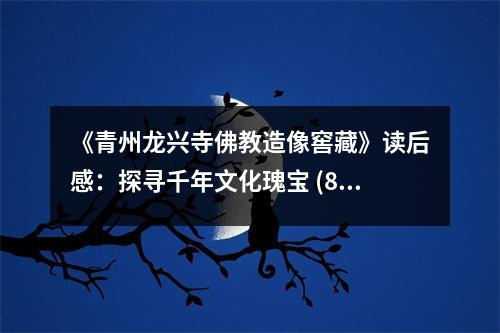 《青州龍興寺佛教造像窖藏》讀后感：探尋千年文化瑰寶 (850字)