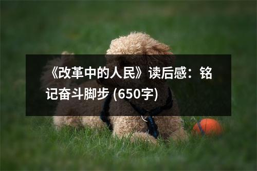 《改革中的人民》讀后感：銘記奮斗腳步 (650字)