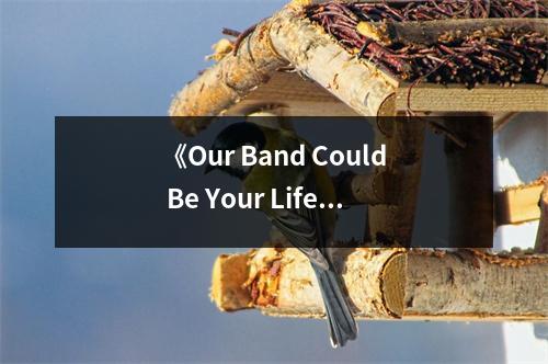 《Our Band Could Be Your Life》讀后感：追尋搖滾精神的旅程 (700字)