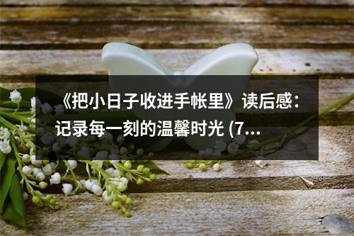《把小日子收進手帳里》讀后感：記錄每一刻的溫馨時光 (750字)