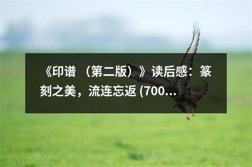 《印譜 （第二版）》讀后感：篆刻之美，流連忘返 (700字)