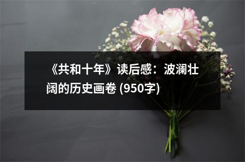 《共和十年》讀后感：波瀾壯闊的歷史畫卷 (950字)