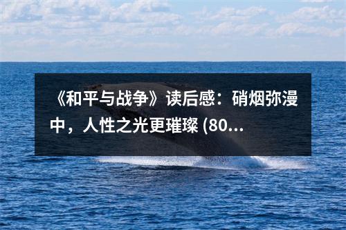 《和平與戰(zhàn)爭(zhēng)》讀后感：硝煙彌漫中，人性之光更璀璨 (800字)