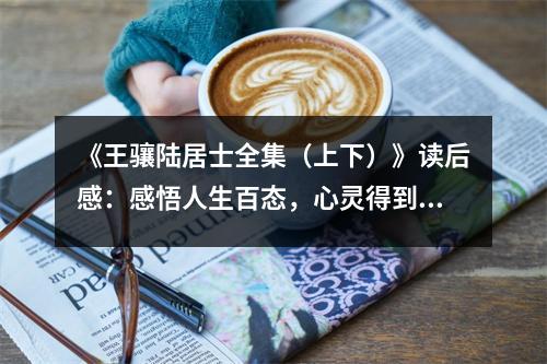 《王驤陸居士全集（上下）》讀后感：感悟人生百態(tài)，心靈得到滋養(yǎng) (850字)