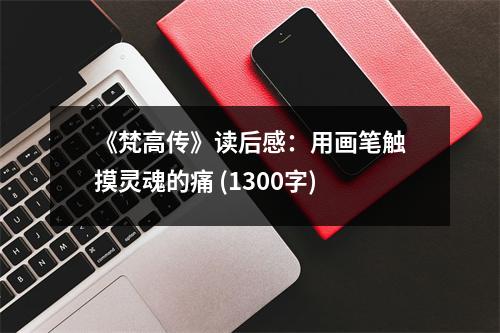 《梵高傳》讀后感：用畫(huà)筆觸摸靈魂的痛 (1300字)