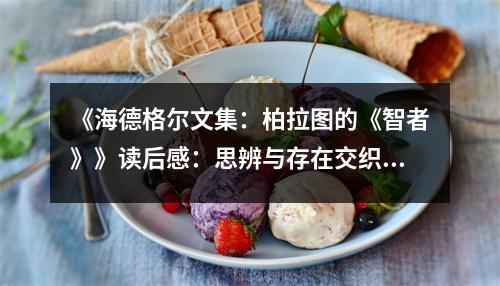 《海德格爾文集：柏拉圖的《智者》》讀后感：思辨與存在交織的人生之旅 (800字)