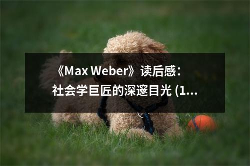 《Max Weber》讀后感：社會學巨匠的深邃目光 (1000字)