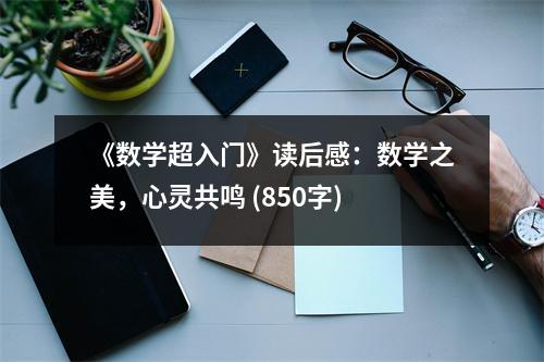 《數(shù)學(xué)超入門》讀后感：數(shù)學(xué)之美，心靈共鳴 (850字)