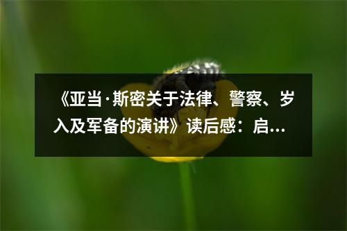 《亞當(dāng)·斯密關(guān)于法律、警察、歲入及軍備的演講》讀后感：啟迪智慧，照亮前行之路 (900字)
