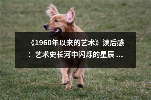 《1960年以來的藝術(shù)》讀后感：藝術(shù)史長河中閃爍的星辰 (850字)