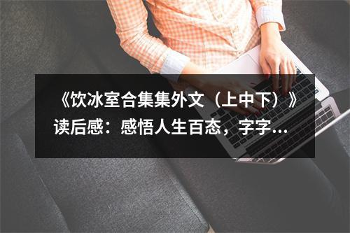 《飲冰室合集集外文（上中下）》讀后感：感悟人生百態(tài)，字字如金 (950字)